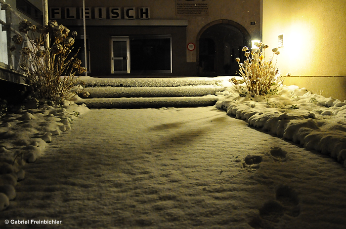 Spuren im Schnee